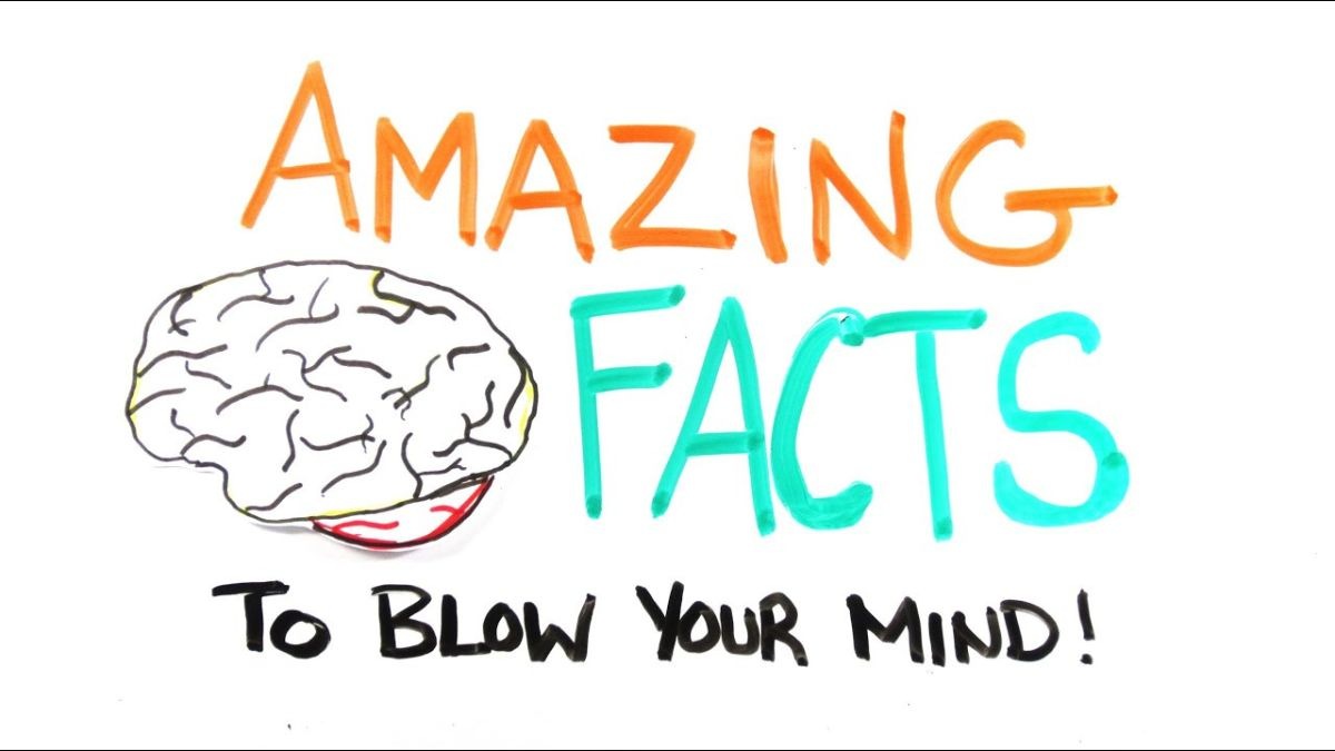 10 Mind-Blowing Facts You Won&rsquo;t Believe Are True